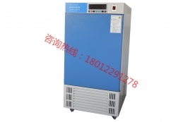 LHS-250SC智能型恒溫恒濕箱